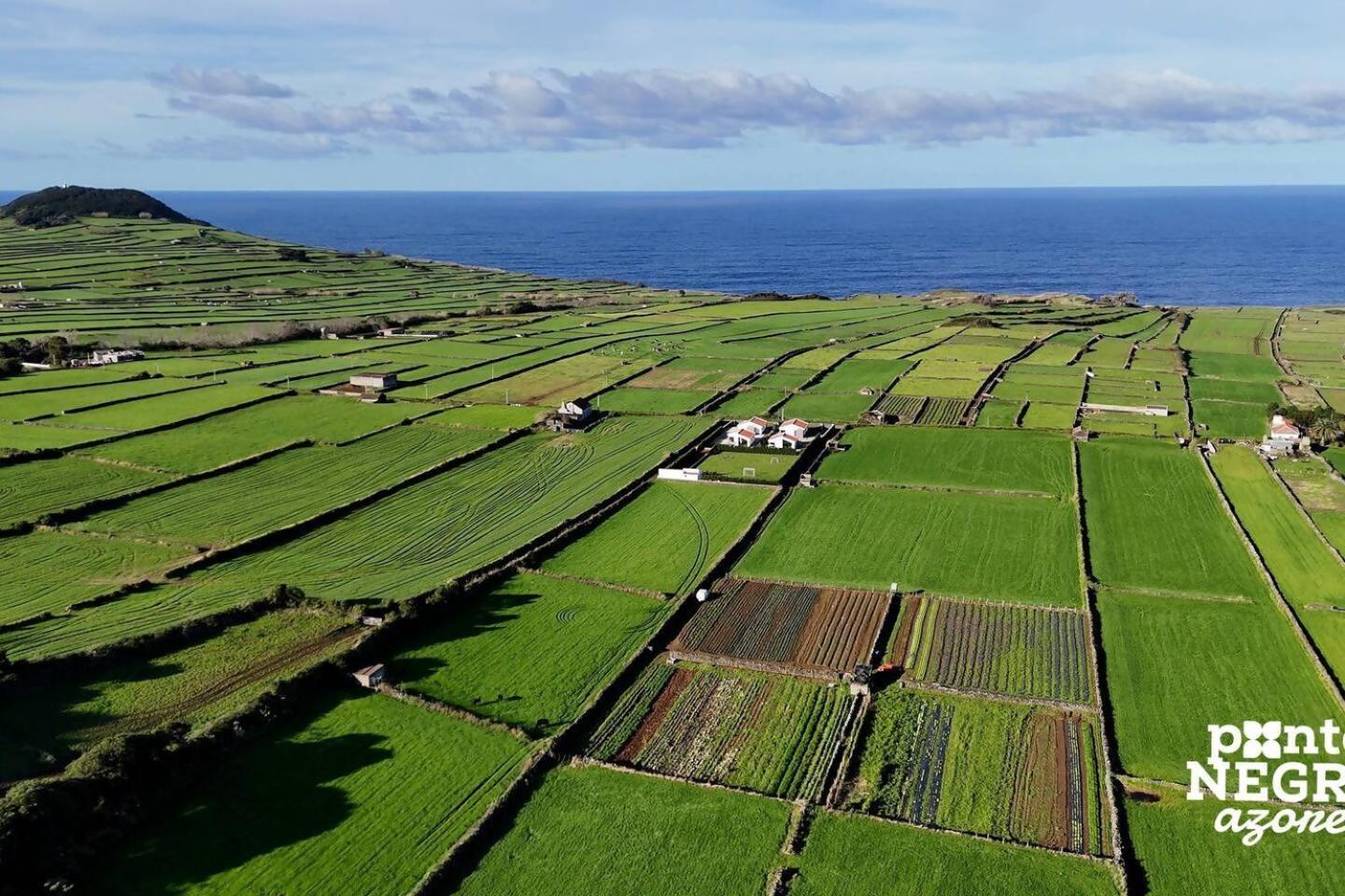 Wine House By Ponta Negra Azores Altares ภายนอก รูปภาพ